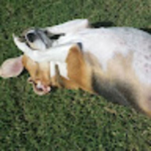 Meet your Posher, Elaina